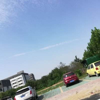 无人车进山、全链路提速！顺丰以科技护航碧螺春“头采”鲜度